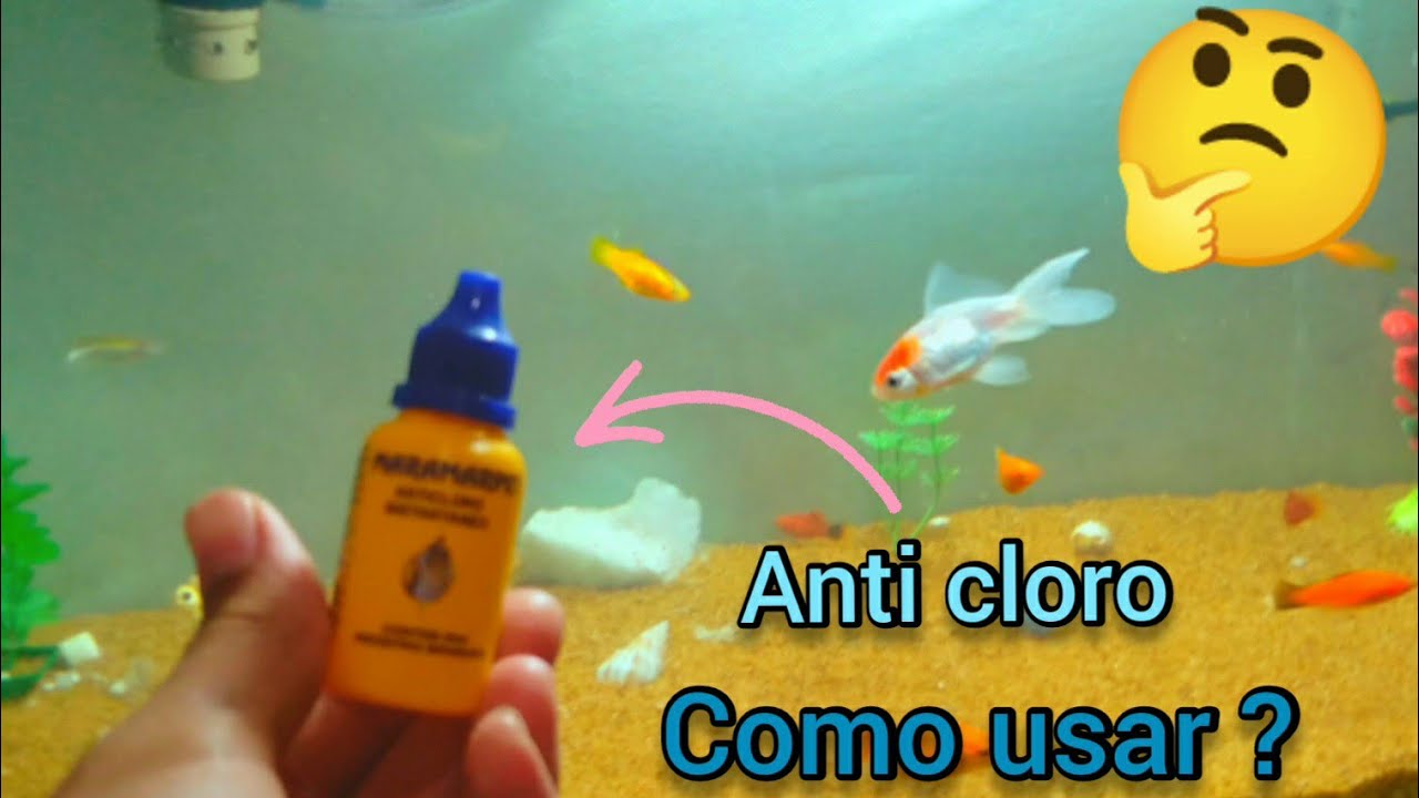 Como Usar Anti Cloro (descubra nesse video?)