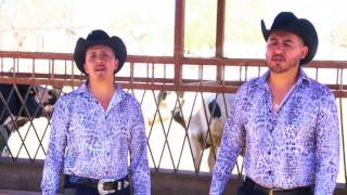 Sinonimo caballo silla de