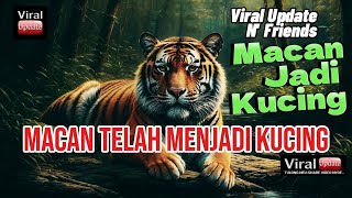 Lagu - Macan Jadi Kucing (New Version) | Viral Update