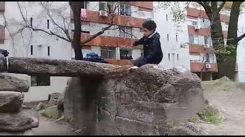 Vault Speed Parkour (Brian Alves)
