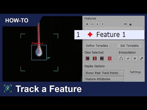 Discover How To Use Averitt Express Tracking – The Full Guide Exposed The Secrets You Cant Miss