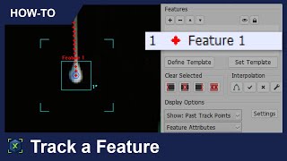 Track a Feature | ProAnalyst How-To