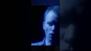 Sting - FIELDS OF GOLD. 1993