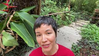 Super-Short Writing Prompt Cowardice And Courage