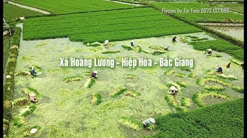 K98TV - Xã Hoàng Lương - Hiệp Hòa - Bắc Giang