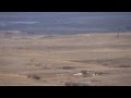 Sharp-tailed Grouse Lek Flushed by a Northern Harrier