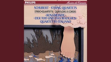 Schubert: String Quartet No. 13 in A Minor, D. 804 "Rosamunde": I. Allegro ma non troppo