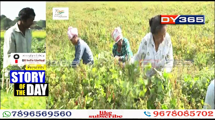 ৰাজ্যৰ বিভিন্ন প্ৰান্তত কৃষি বিপ্লৱৰ সূচনা কৰিছে নিবনুৱাই