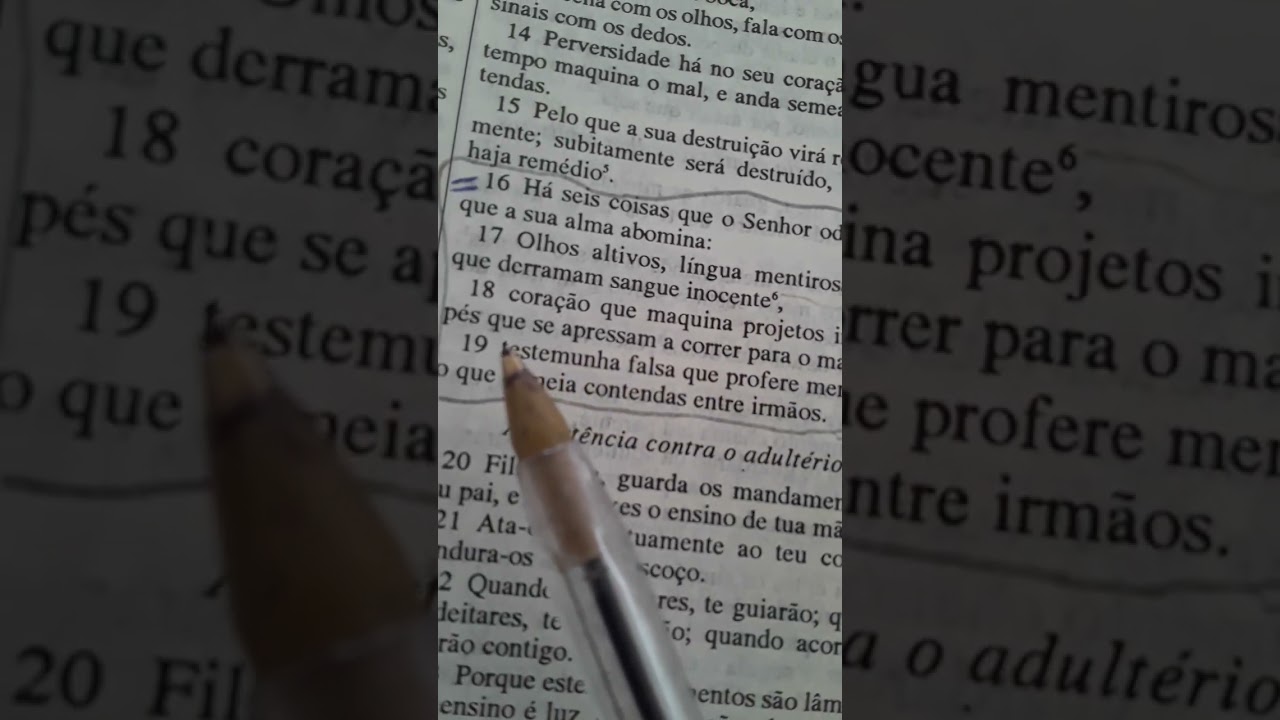 contendas entre os irmãos.