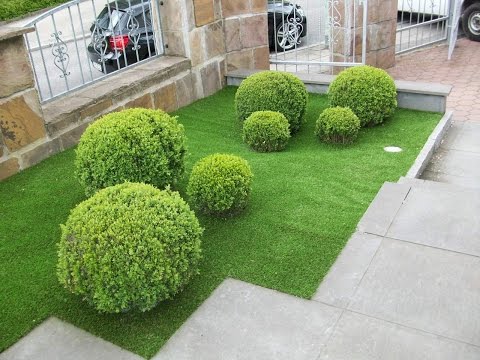 Front garden Ideas