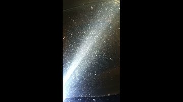 Cách tạo trùng cỏ siêu sạch số lượng khủng