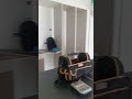 Новая работа. Тяжело, непонятно