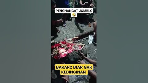 PENGHANGAT PARA JOMBLO 🤣#bakar#ayam#para#jomblo#dingin#short#shorts#video#youtube#viral#funny#fyp