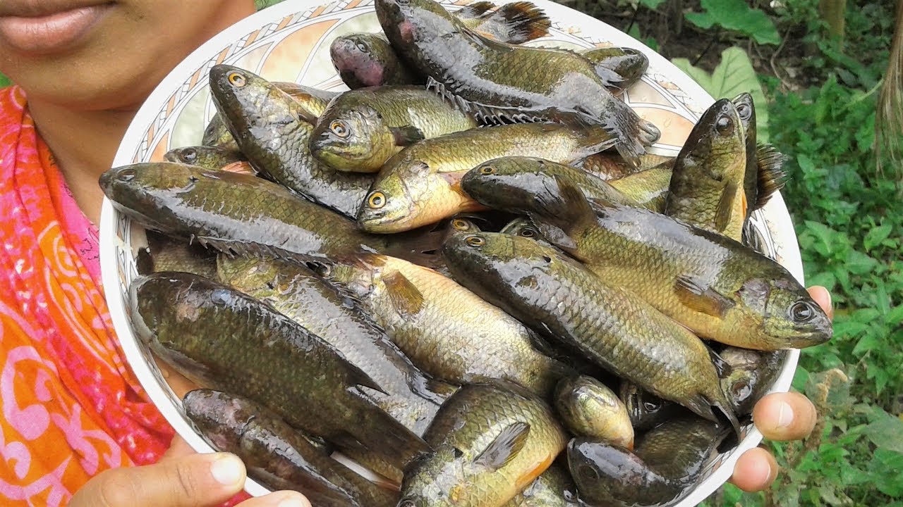 Fish Recipe | Bengali Alu Diye Koi Macher Jhol | Village Style Cooking