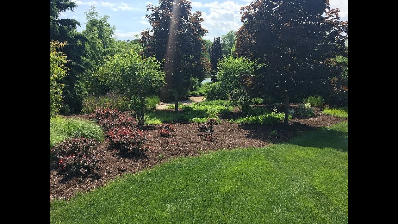 The Order of Creation in Genesis 1