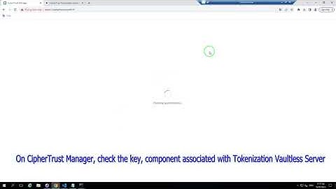 Using Vaultless Server to Tokenize sensitive data demo | CipherTrust Data Security | Thales