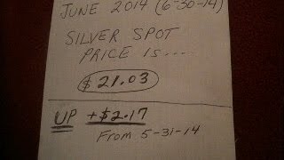 Month #6 EOM June 2014 Silver Stacking pick ups Precious Metals Gold