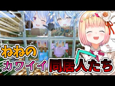 イマジナリーぺこラミと同居し始めたねねちｗ【ホロライブ切り抜き/桃鈴ねね】