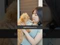 【 ドラマ 】 小型犬 って体調を崩しやすい? 愛犬 の体調管理どうしてる?〔 犬 ペット しつけ 〕