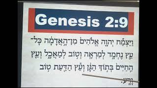 Match Highlights SLOW READING OF GENESIS 2:9 IN THE HEBREW LANGUAGE