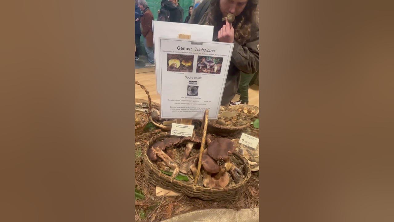 2024 Santa Cruz Fungus Fest Mushrooms fungusfest mushrooms 