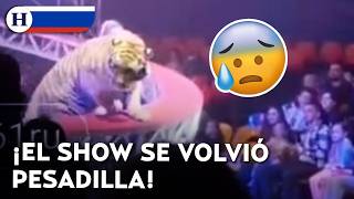 ¡TERROR en el circo! Tigre escapa y corre hacia el público en plena función