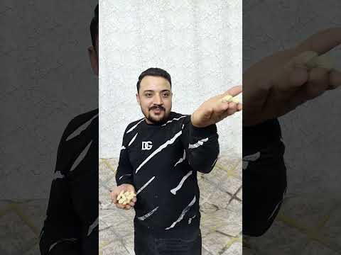 سنجاب ياكل فستق السنجاب الصغير سنجاب كيوت 