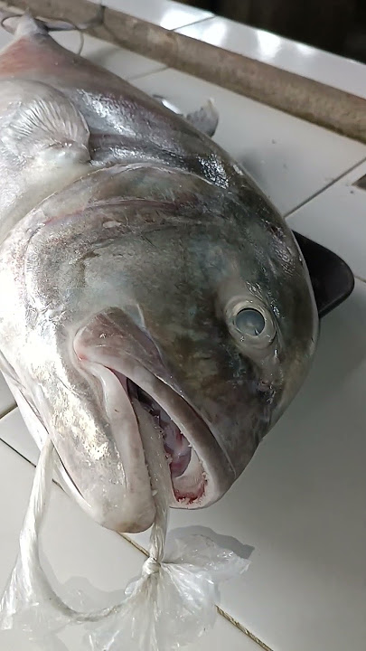 7.5kls Mabilog