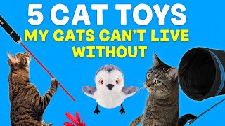 5 Cat Toys My Cats Can't Live Without!