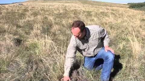 Beef Research School - Assessing Three Rangeland Sites