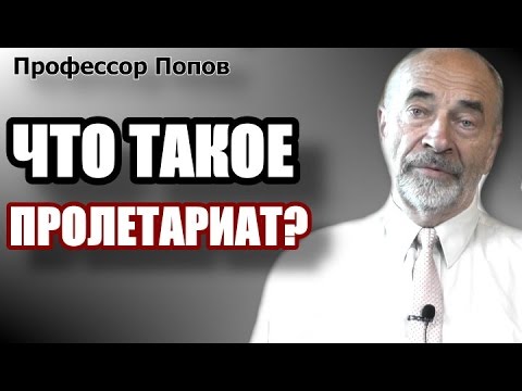 Пролетариат: применение понятия. Профессор Попов