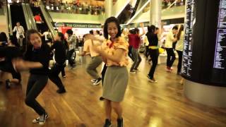 WDA Flashmob Highlights