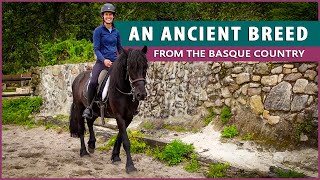 Equestrian Rides the Pottoka in Spain