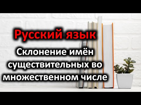 Склонение имён существительных во множественном числе. Учим русский язык.