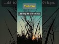 Tổn thương nhất #tamlyhoc #dailyfacts #trietlycuocsong #chuasanh #tinhyeu #moiquanhe #shorts #fyp