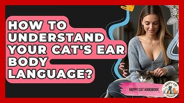 How To Understand Your Cat