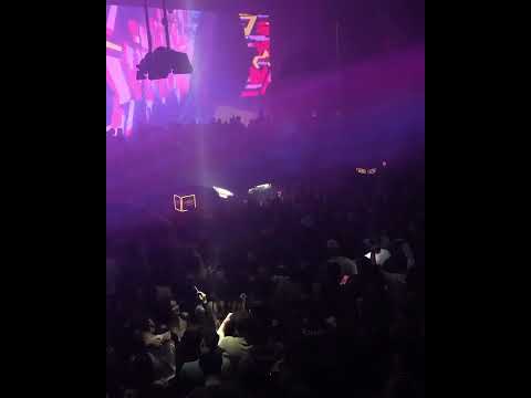 'Stephan Bodzin' Live