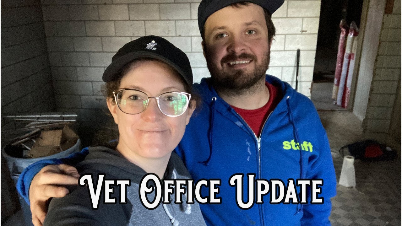 Vlog 26 Vet Office Update YouTube