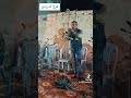 غربي باجي بغلة الكاليس