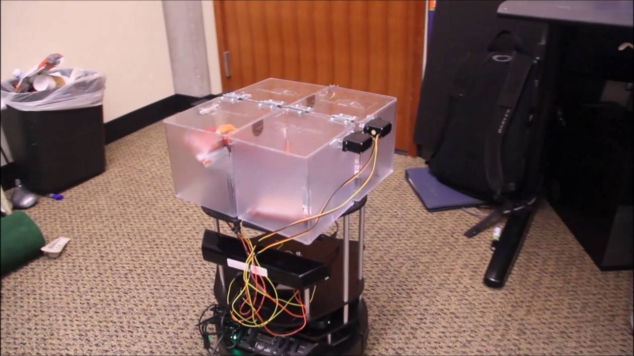 UW CSE Robotics Capstone: FSGRIS SNACBOT - YouTube