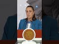 Caso "El Mayo": Sheinbaum explica por qué fue enviado el presunto piloto a EU #shorts
