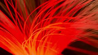 Scrooge Kmoaroemeiniaecho Deepshow Some Love cuba Beats Soulful Piano Mix