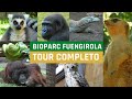 Bioparc Fuengirola - Tour Completo