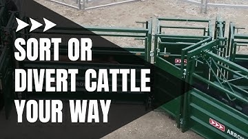 Cattle Sorting Alley | One and Two-Way Cattle Sorting | Showcase