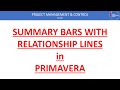 Summary Bars with Relationship Lines