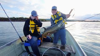 Big Male staging salmon.