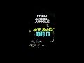 Fred again jungle air banx bootleg