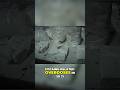 The Dark Legacy Of Cocaine Colombia S Tragic Toll The Dark Legacy Of Cocaine Colombia S Tragic Toll