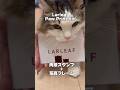 Gz⭐︎1,000views|肉球スタンプだニャ➰🐾 | #larleaf #PawPrintKit #PR