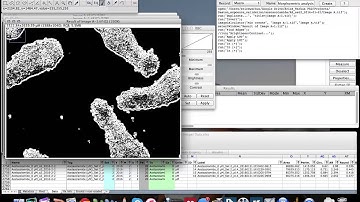 Outlining 3D objects in ImageJ